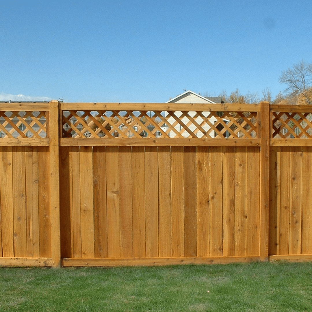 Fence Pressure Washing