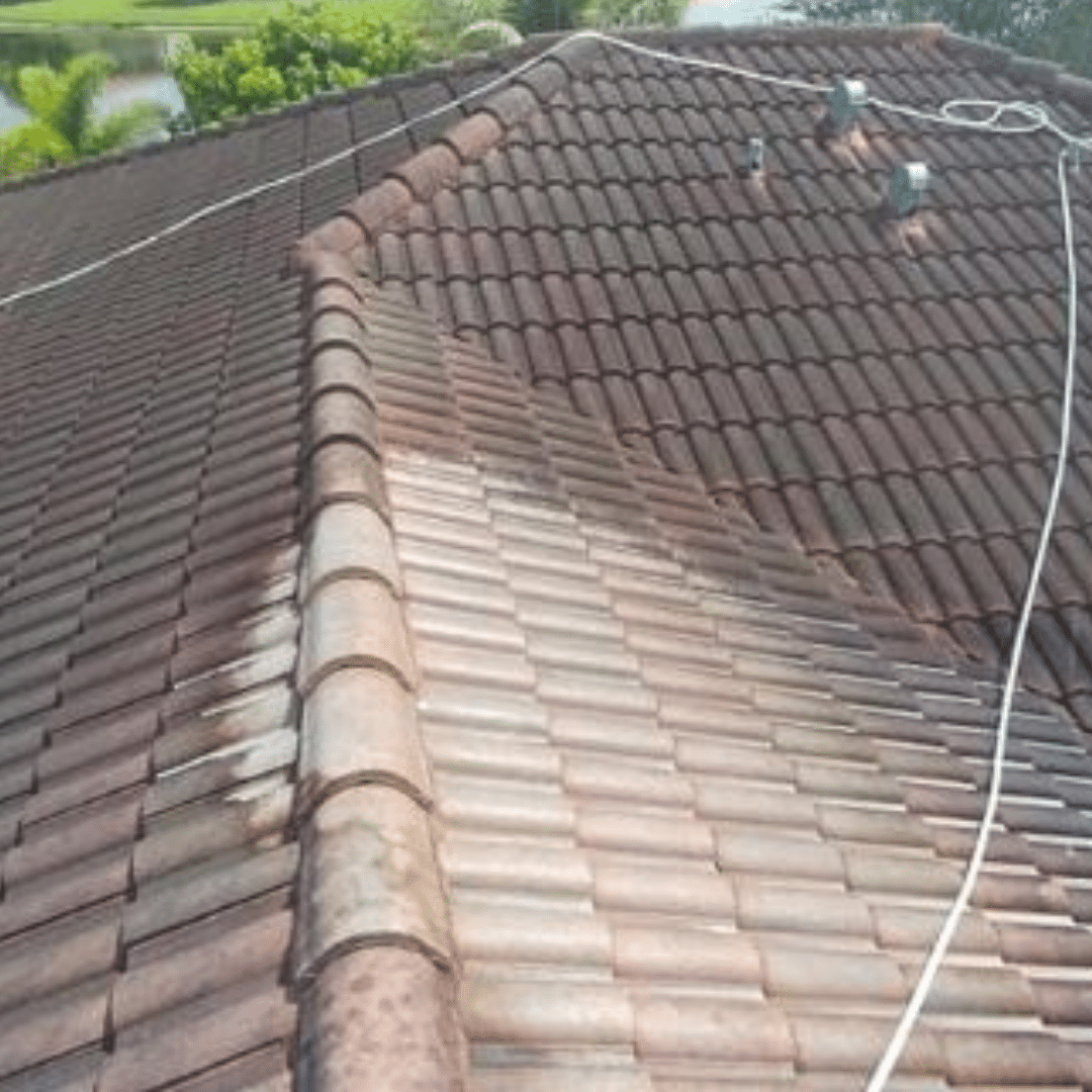 Tile Roof Cleaning