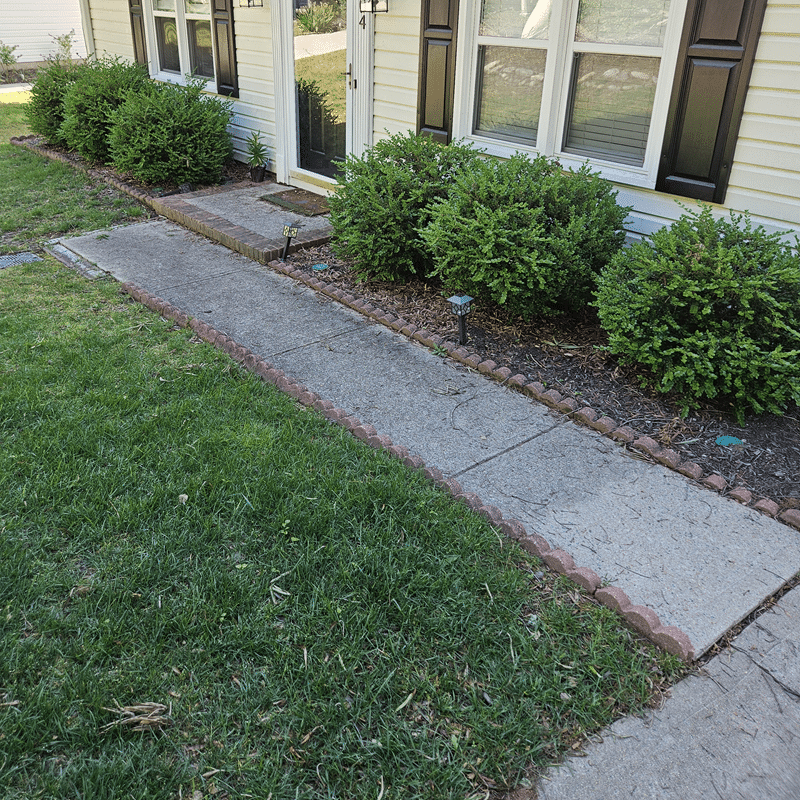 sidewalk-cleaning-before